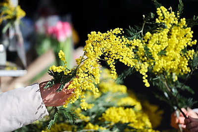 Атмосфера на улицах белорусских городов в преддверии 8 Марта