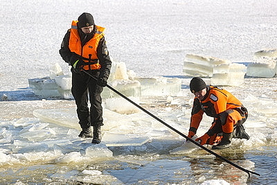 В Бресте расчищают полыньи для зимующих птиц