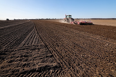 В Минской области весенний сев начали с ярового ячменя