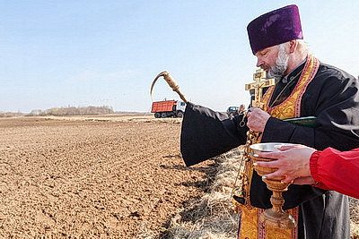 В поле - с добрым сердцем. В Витебском районе дали старт посевной кампании