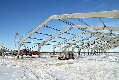 В Гомельской области возводят самый крупный в Беларуси свиноводческий комплекс