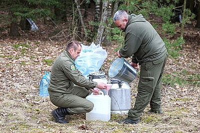 В Гродненской области приступили к заготовке березового сока