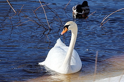 ФОТОХРОНИКА начинает новый информационный день
