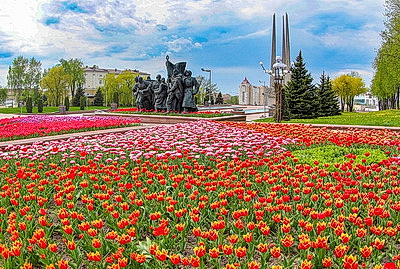 Сотни тысяч тюльпанов в преддверии Дня Победы расцвели в городах Беларуси