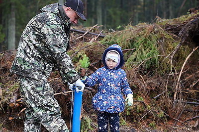 К акции \"Дай лесу новае жыццё!\" в Вороновском районе присоединились около 250 человек