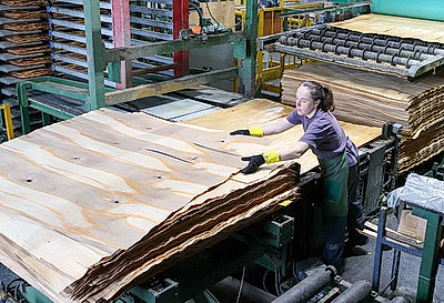 \"Речицадрев\": современное производство с женским лицом