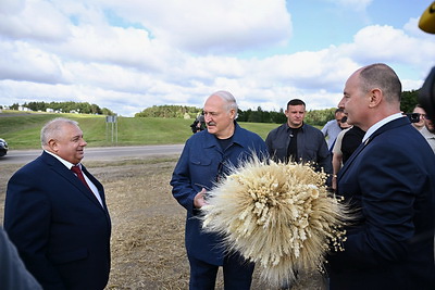 Лукашенко встретился с передовиками уборочной кампании в Минском районе