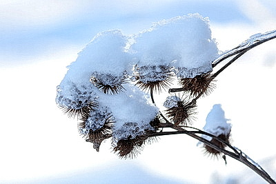 ФОТОХРОНИКА начинает новый информационный день