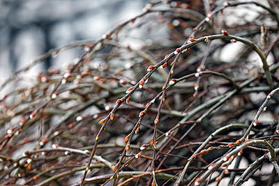 ФОТОХРОНИКА начинает новый информационный день