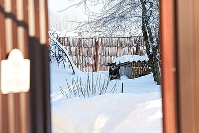 Зима в белорусской глубинке