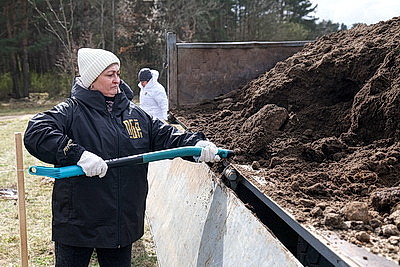 Аллею из 50 молодых лип высадили активисты-общественники в Гродно