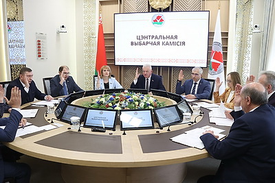 ЦИК установил итоги выборов делегата ВНС от РОО \"Белая Русь\" вместо выбывшего