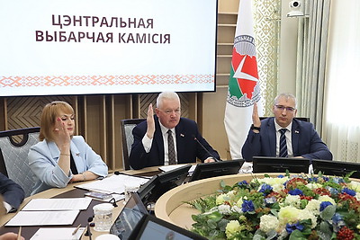 ЦИК установил итоги выборов делегата ВНС от РОО \"Белая Русь\" вместо выбывшего