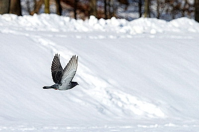 ФОТОХРОНИКА начинает новый информационный день