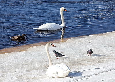 ФОТОХРОНИКА начинает новый информационный день
