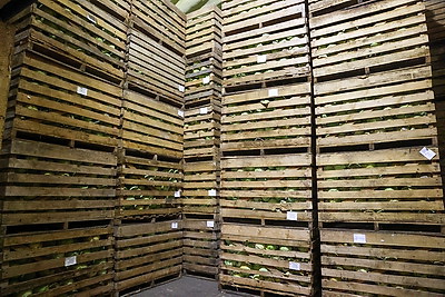 Русый о работе автолавок и сельмагов: люди должны иметь возможность купить все, что они хотят