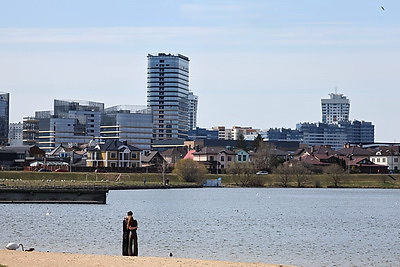Весна. Белоснежные лебеди на водохранилище Дрозды