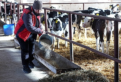 Теплые одеяла для согрева телят передали активисты Витебского областного отделения БСЖ