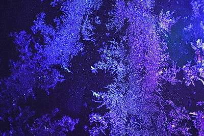 ФОТОХРОНИКА начинает новый информационный день