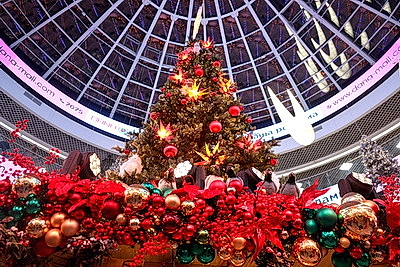 Ярко и празднично Беларусь встретила 2026-й