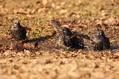 Солнечный весенний день в Минске