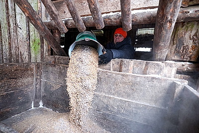 Зубры далеко не отходят, в лесу стоят и ждут. Как подкармливают животных зимой?
