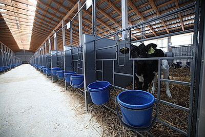 Лукашенко посетил МТК в Логойском районе