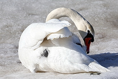 ФОТОХРОНИКА начинает новый информационный день