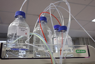 Исследование жизни: учебная лаборатория структурной и функциональной биологии белка открылась в БГУ