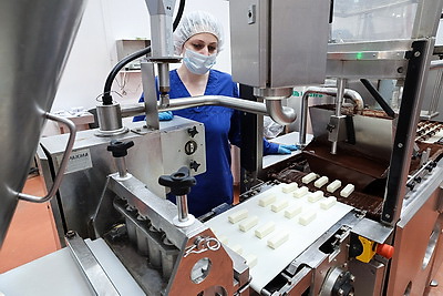 Перспективы развития молочного комбината и агропредприятия: Кочанова посетила Полоцкий район