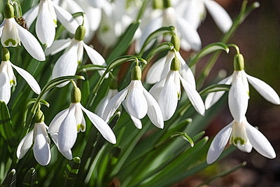 Солнечный весенний день в Минске
