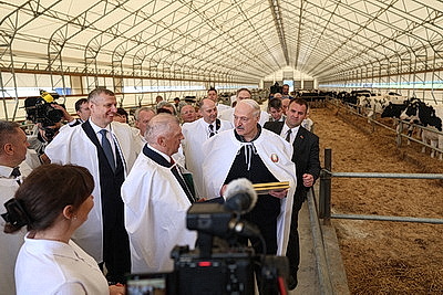 Лукашенко ознакомился с развитием племенного животноводства