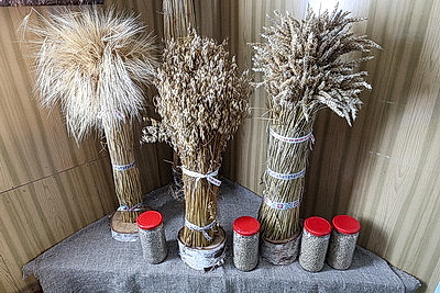 В Миорском районе открылся музей хлеба