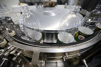 Ученый: рапсовое масло входит в тройку лучших растительных масел для питания человека