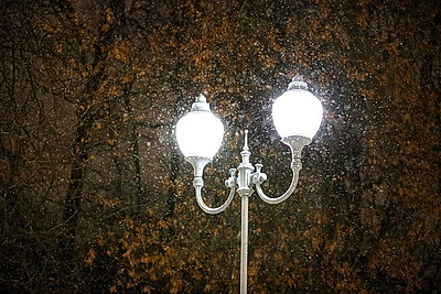 Морозный зимний день: снегопад не повод сидеть дома для активных жителей