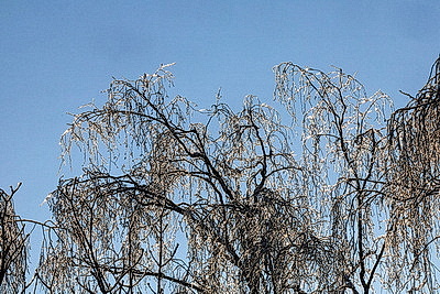 ФОТОХРОНИКА начинает новый информационный день