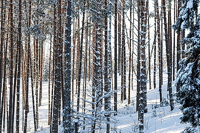 Зима в белорусской глубинке
