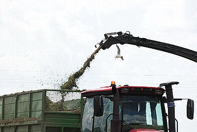 На агрокомбинате \"Южный\" завершается уборка трав первого укоса