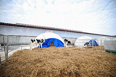 Лукашенко посетил МТК в Логойском районе