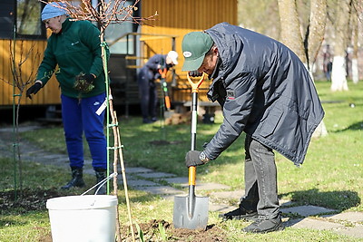 Республиканский субботник: команда БЕЛТА помогла навести порядок в социальном пансионате \"Малиновка\"