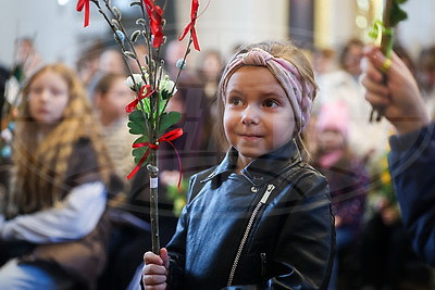 Католики отпраздновали Вход Господень в Иерусалим