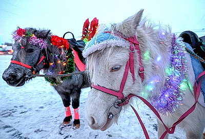 ФОТОХРОНИКА начинает новый информационный день