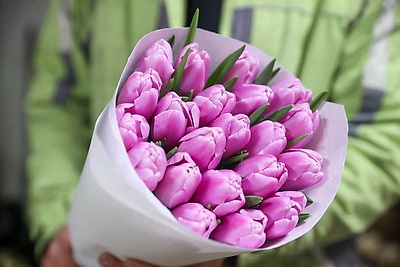 Около 500 тыс. тюльпанов ежегодно выращивает молодой фермер из Дрогичина