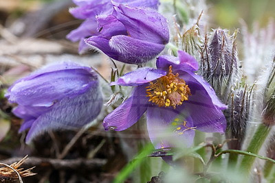 ФОТОХРОНИКА начинает новый информационный день