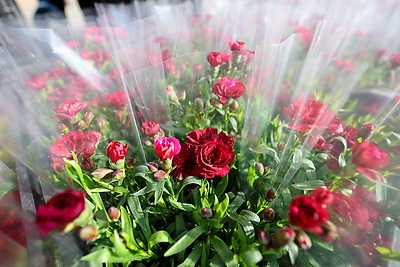 Атмосфера на улицах белорусских городов в преддверии 8 Марта