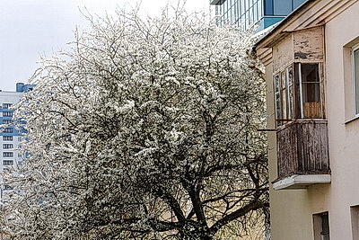 Минск. Прогулка по старым кварталам