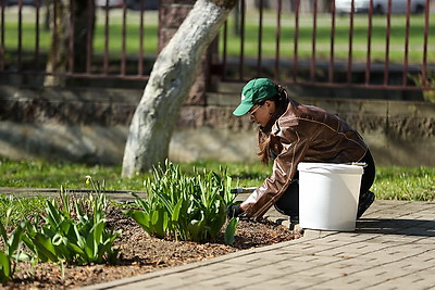 Республиканский субботник: команда БЕЛТА помогла навести порядок в социальном пансионате \"Малиновка\"