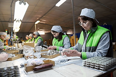 Пархомчик нацелил Брестский электроламповый завод на увеличение производства