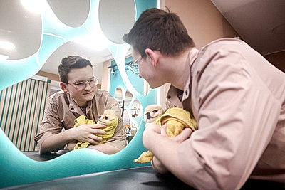 Школьник из Гродно нашел себя в груминге после первой стрижки своего йорка