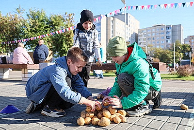 Тыква весом 263 кг, соломенные фотозоны и ярмарка. В Бресте прошел фестиваль \"Дары осени\"